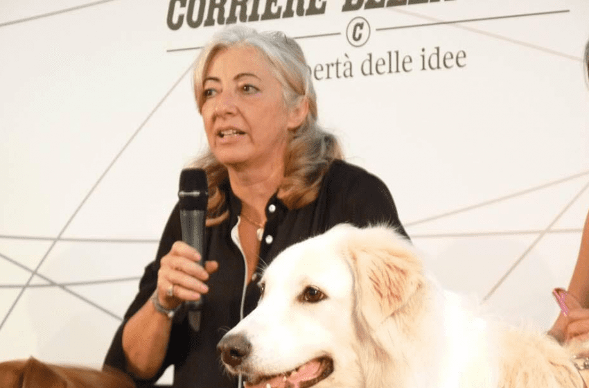L’intervista | MONICA PAIS: “GLI ANIMALI SONO I NOSTRI INSEGNANTI”