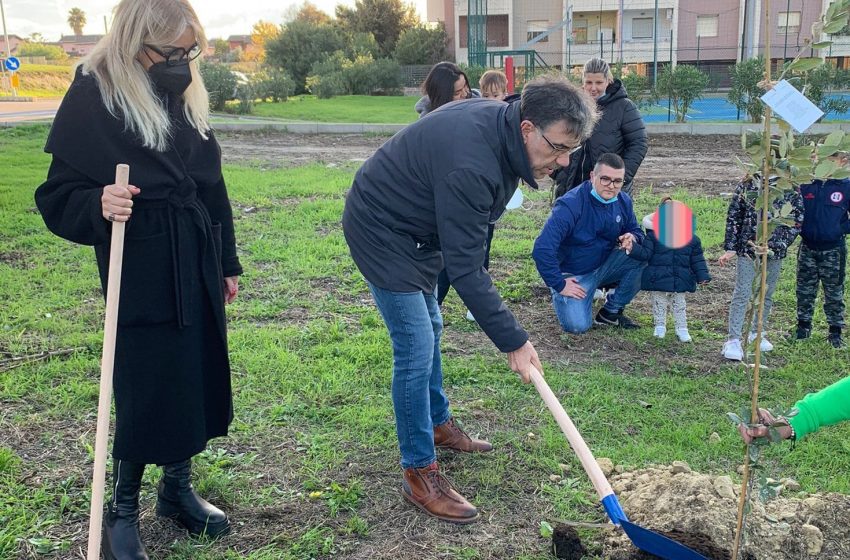 Sassari – Piantati 100 alberi a Sant’Orsola