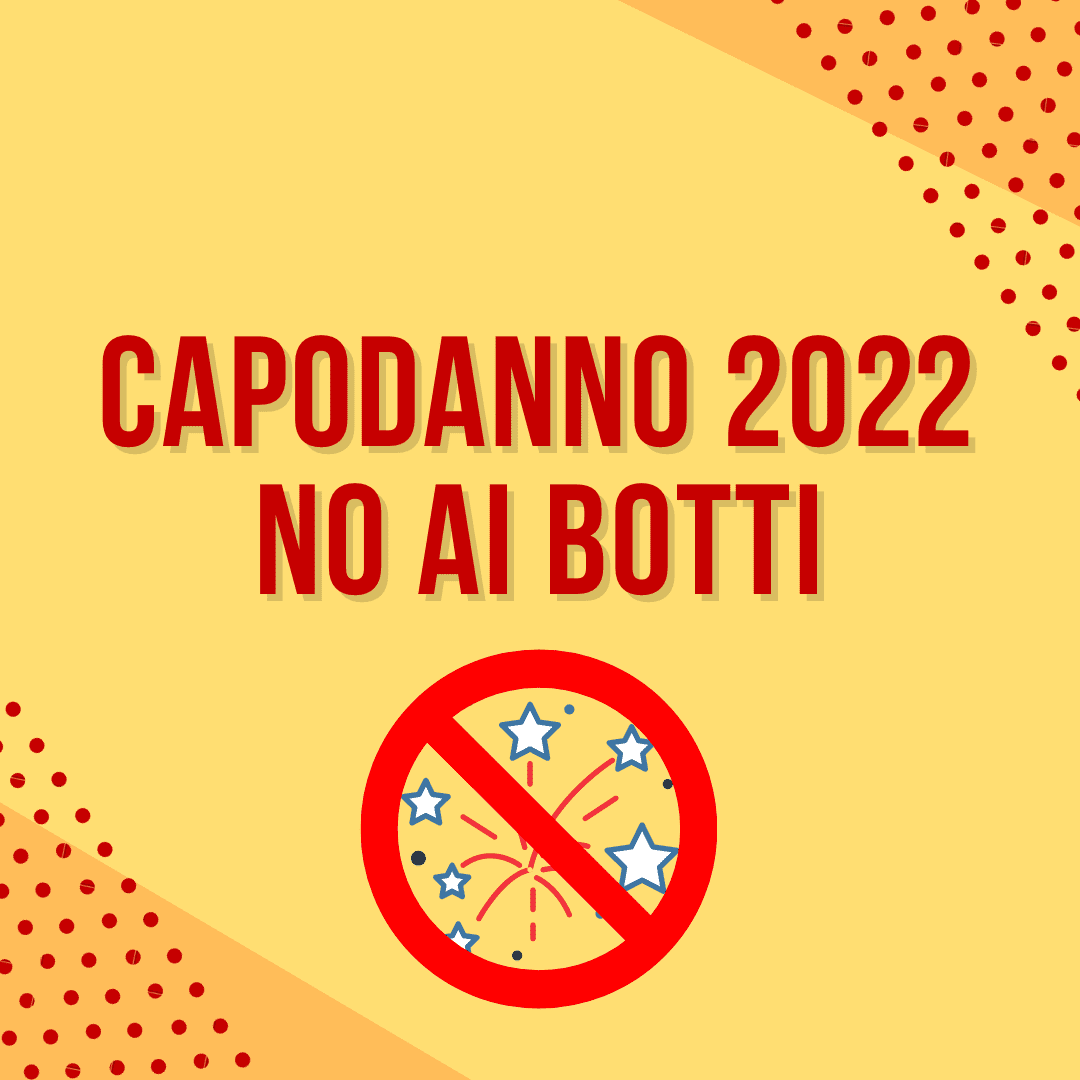 vietati i botti di capodanno