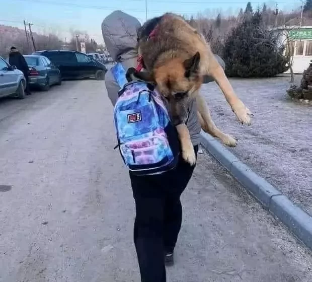  La fuga dall’Ucraina con l’anziano cane sulle spalle.