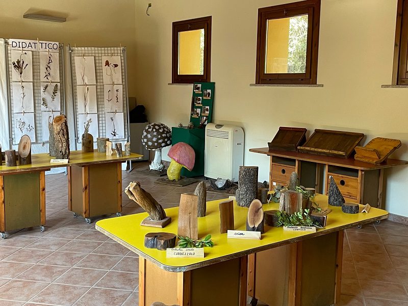 Il Ceas lago Baratz ci introduce alla scoperta della biodiversità