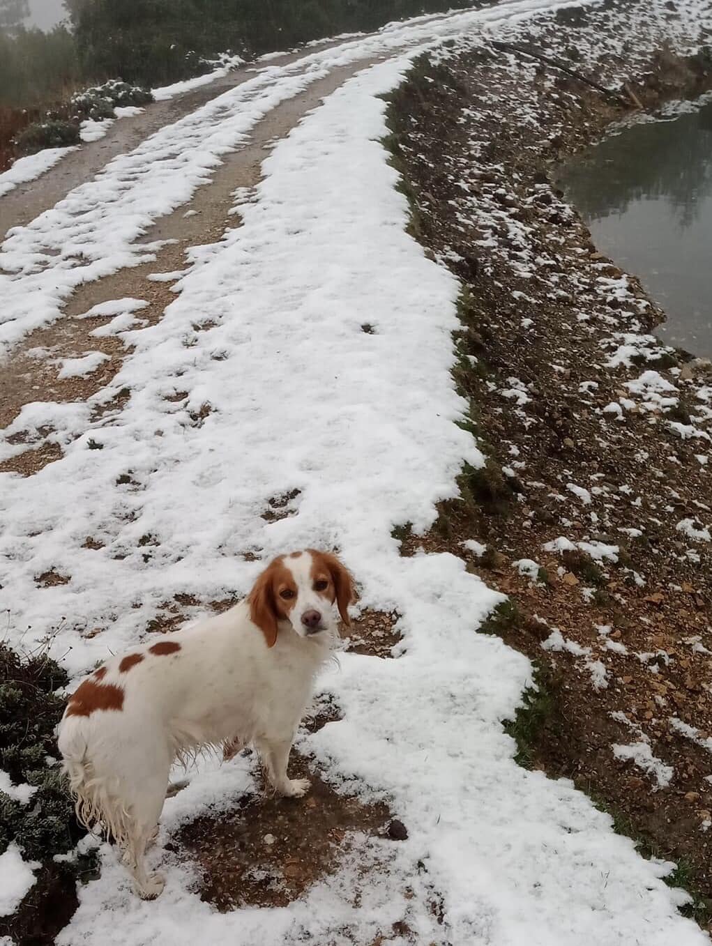 Neve a Fonni