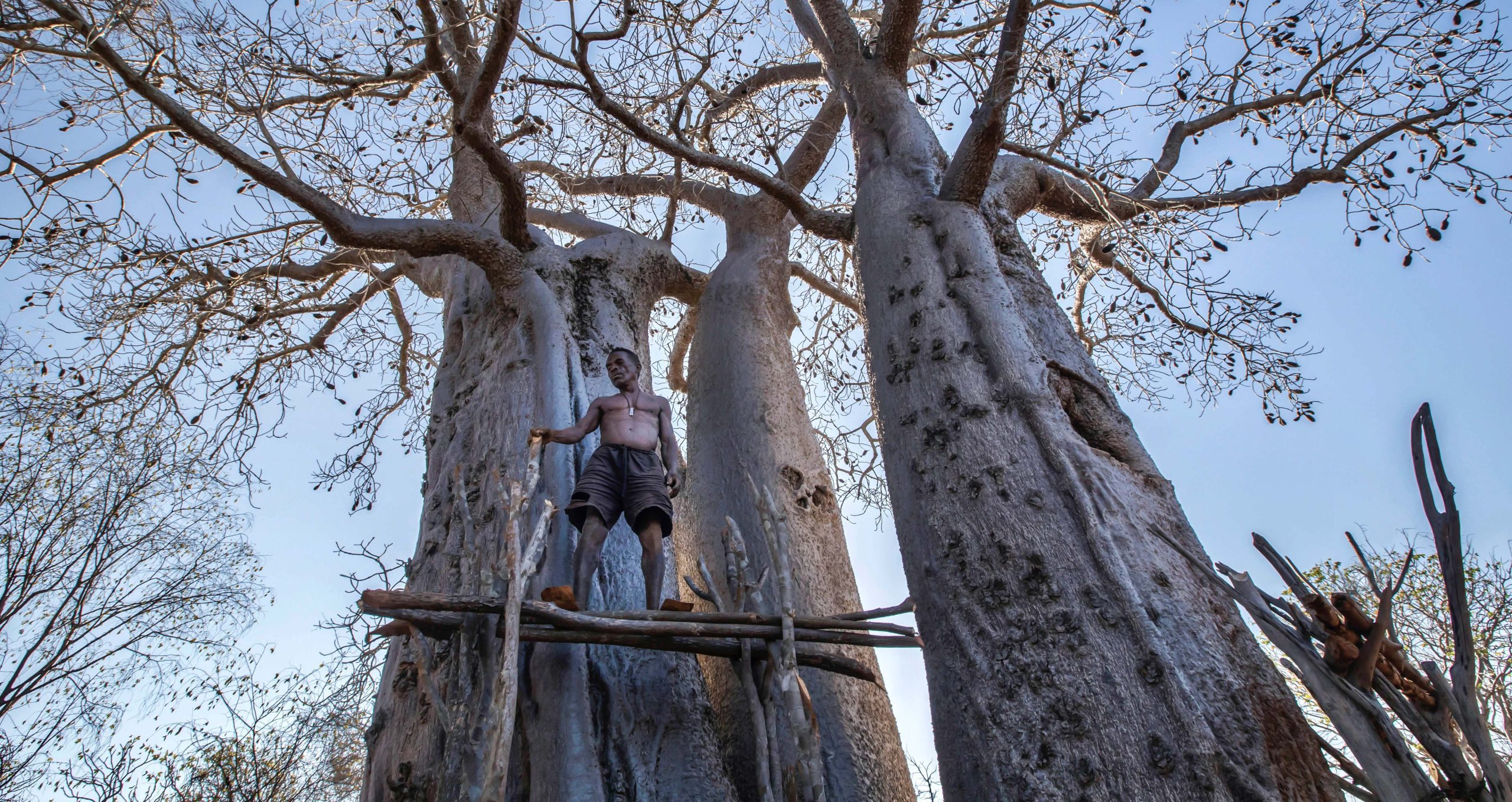 Mamody - Film in concorso Fiorenzo Film Festival 2022