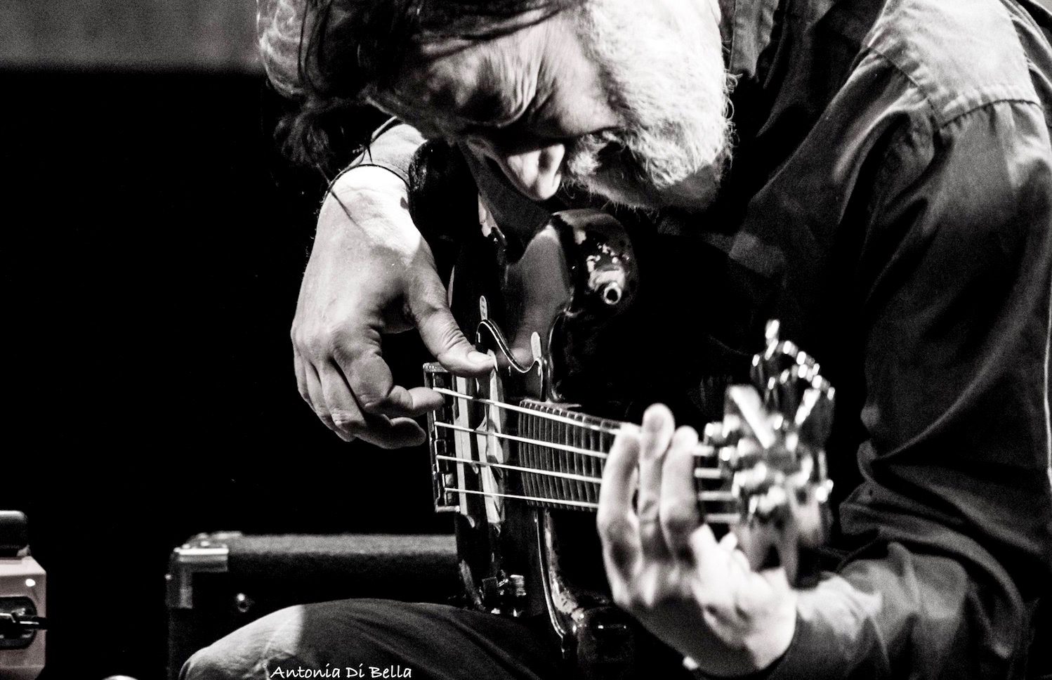 Gianni Maroccolo, foto di Antonia Di Bella