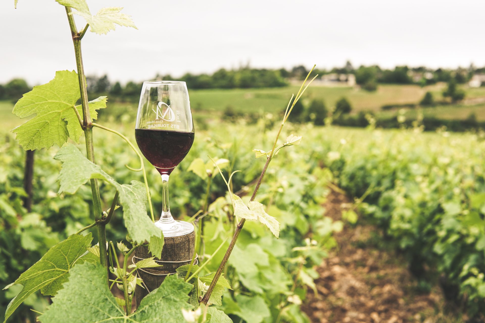 Vini sardi protagonisti del Vinitaly 2023