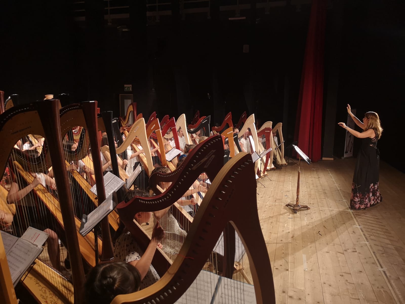 Arpa - European Suzuki harp ensemble
