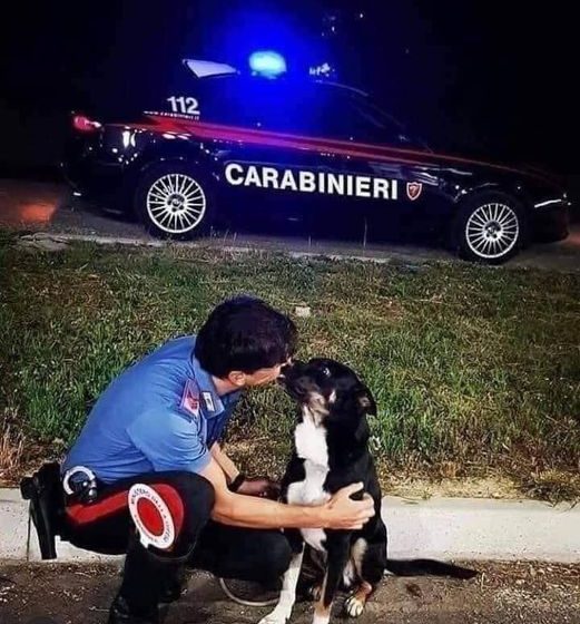  Carabinieri salvano un cane abbandonato