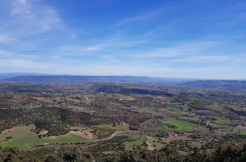 “Crea la tua impresa con Ruralab”, il progetto per l’innovazione nell’Alta Marmilla