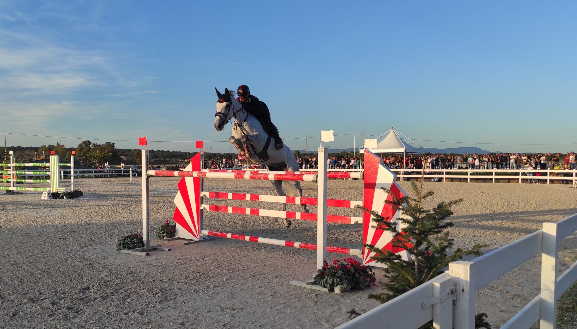 A Tanca Regia, il salto ostacoli internazionale col Sardegna Jumping Tour