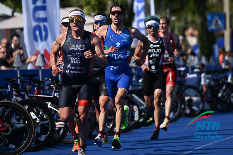 World Triathlon Championship