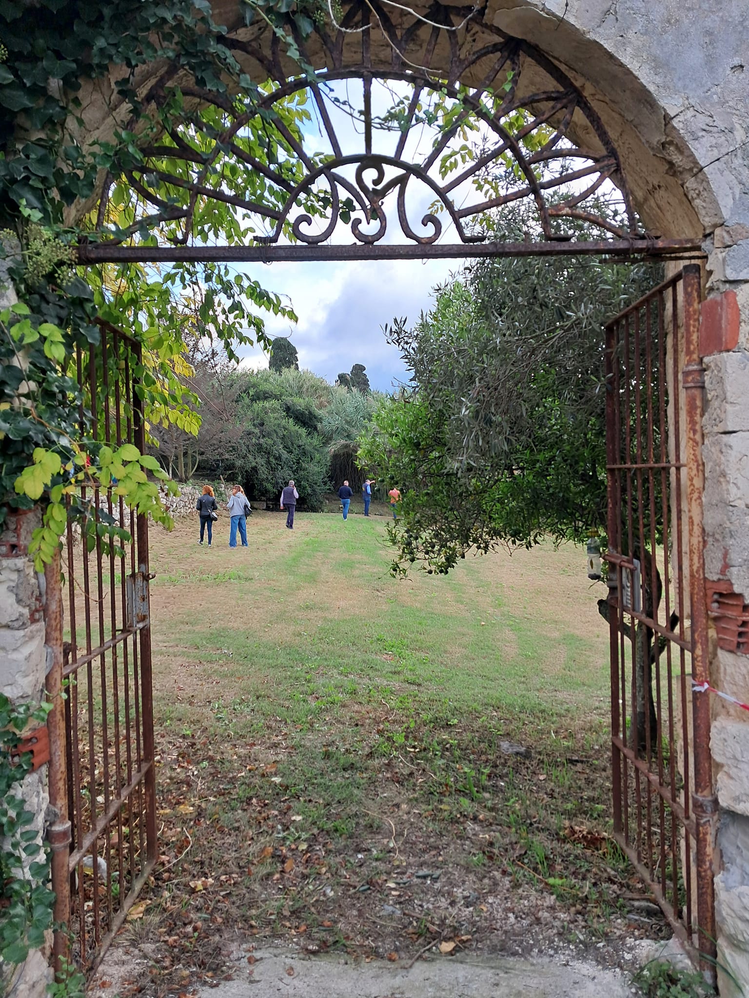 Camminata tra gli Ulivi sassari