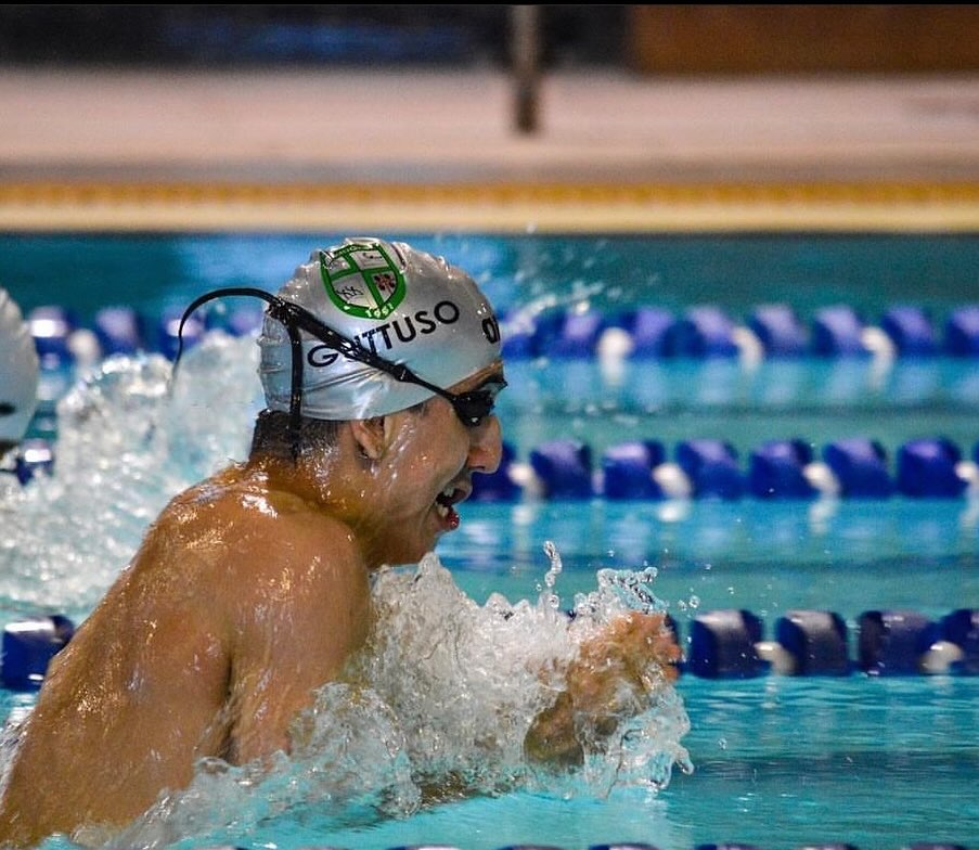 Ludovico Bertelli (Promogest)