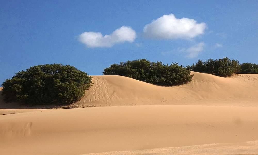 Dune di Piscinas