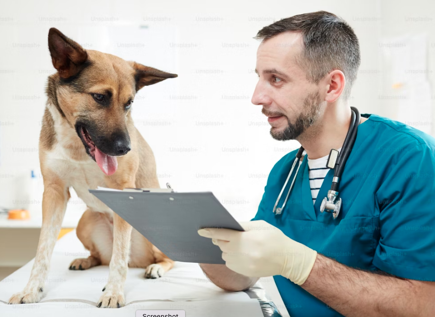 Spese veterinarie e modello 730