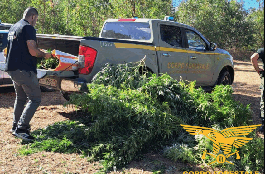 San Nicolò D'Arcidano