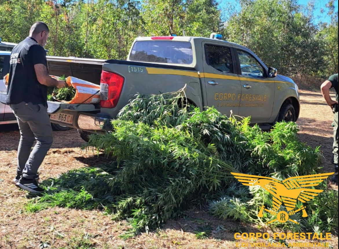 San Nicolò D'Arcidano