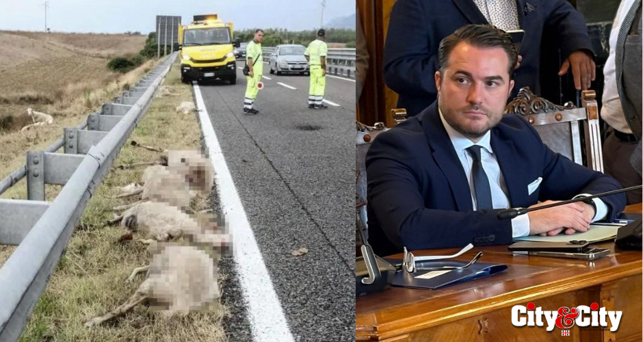 Incidente pecore Muros