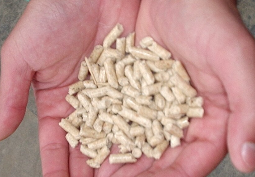 Pellet Nord Sardegna