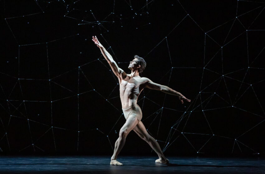 Roberto Bolle