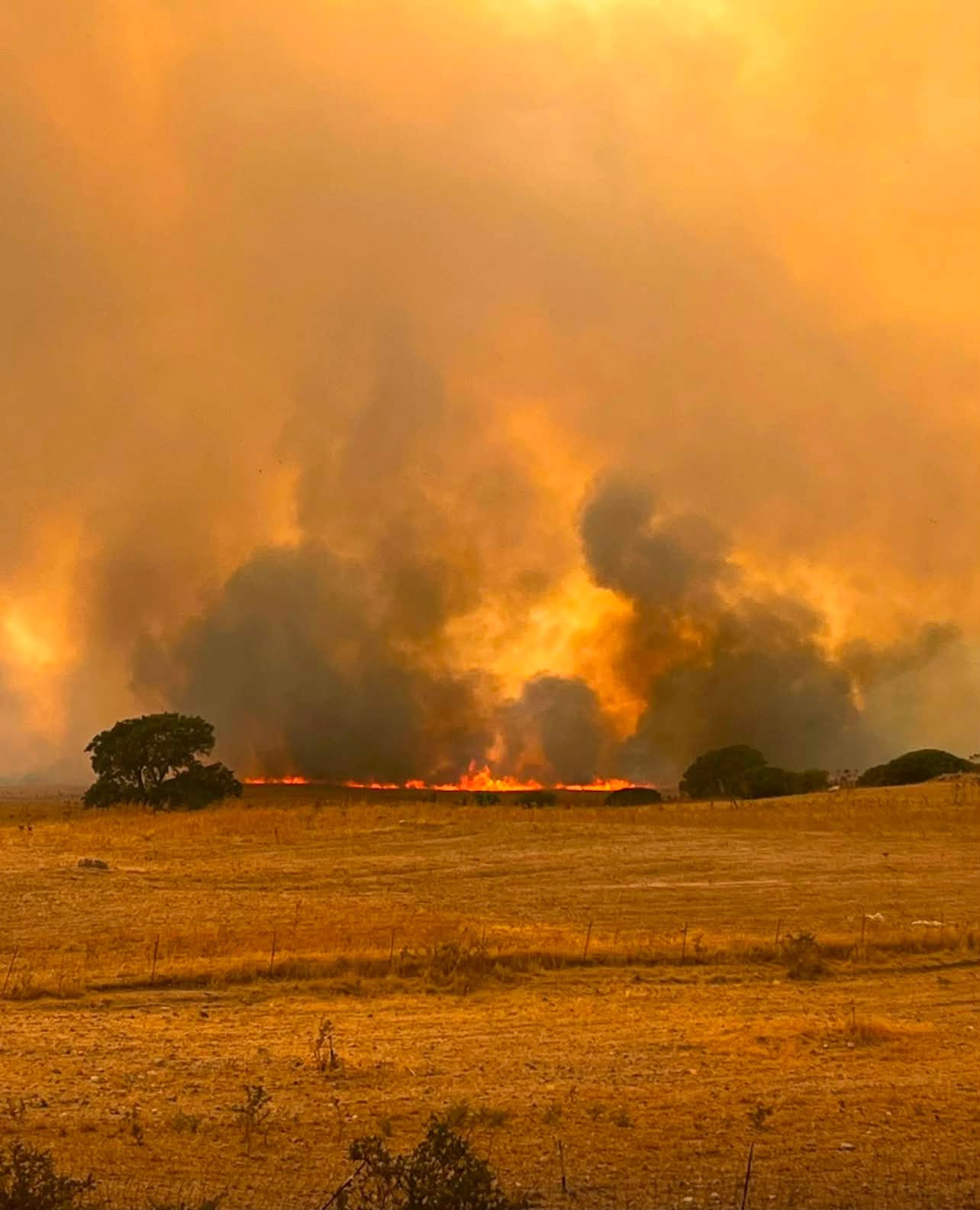 Incendio Sedilo