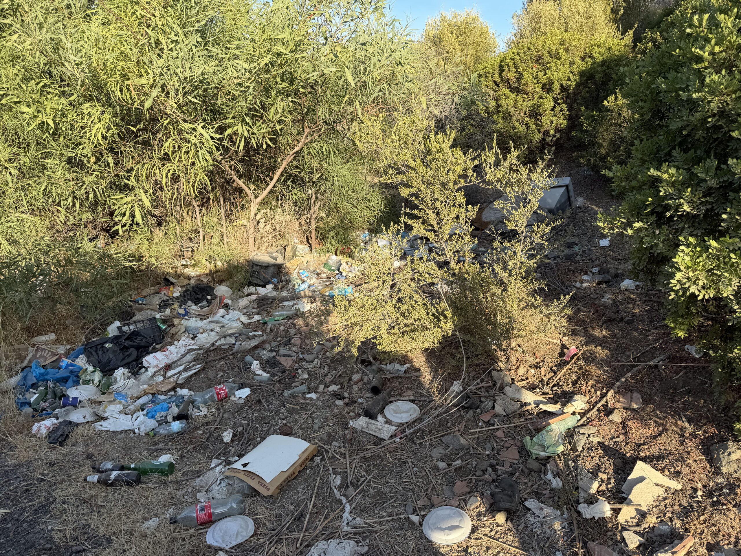 I rifiuti trovati durante l'intervento di pulizia lungo la SS 200 all'ingresso di Castelsardo
